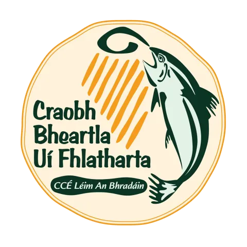 CCE Leixlip Logo
