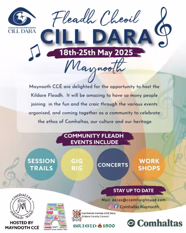 Kildare Fleadh Poster